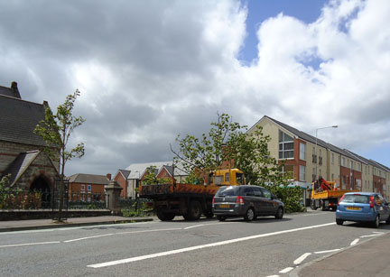 St Mary Tree Down