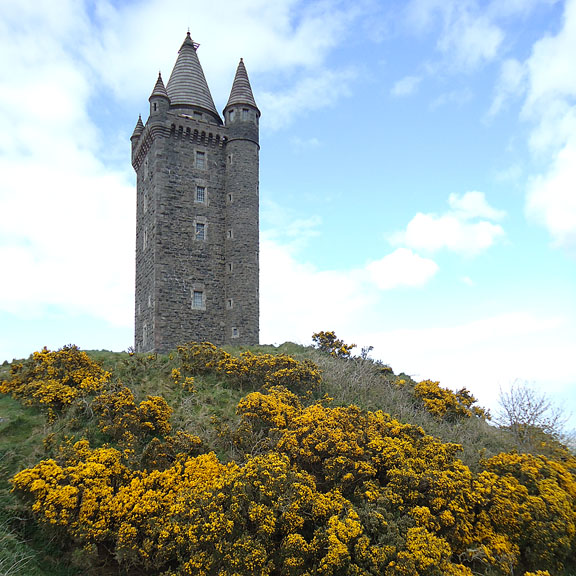 Scrabo Tower